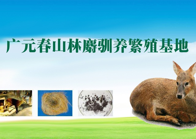 �ֻ�վ��ҳbanner1