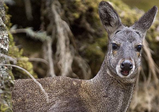 �ֻ�վ��ҳbanner2