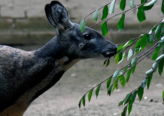 �ֻ�վ��ҳbanner3